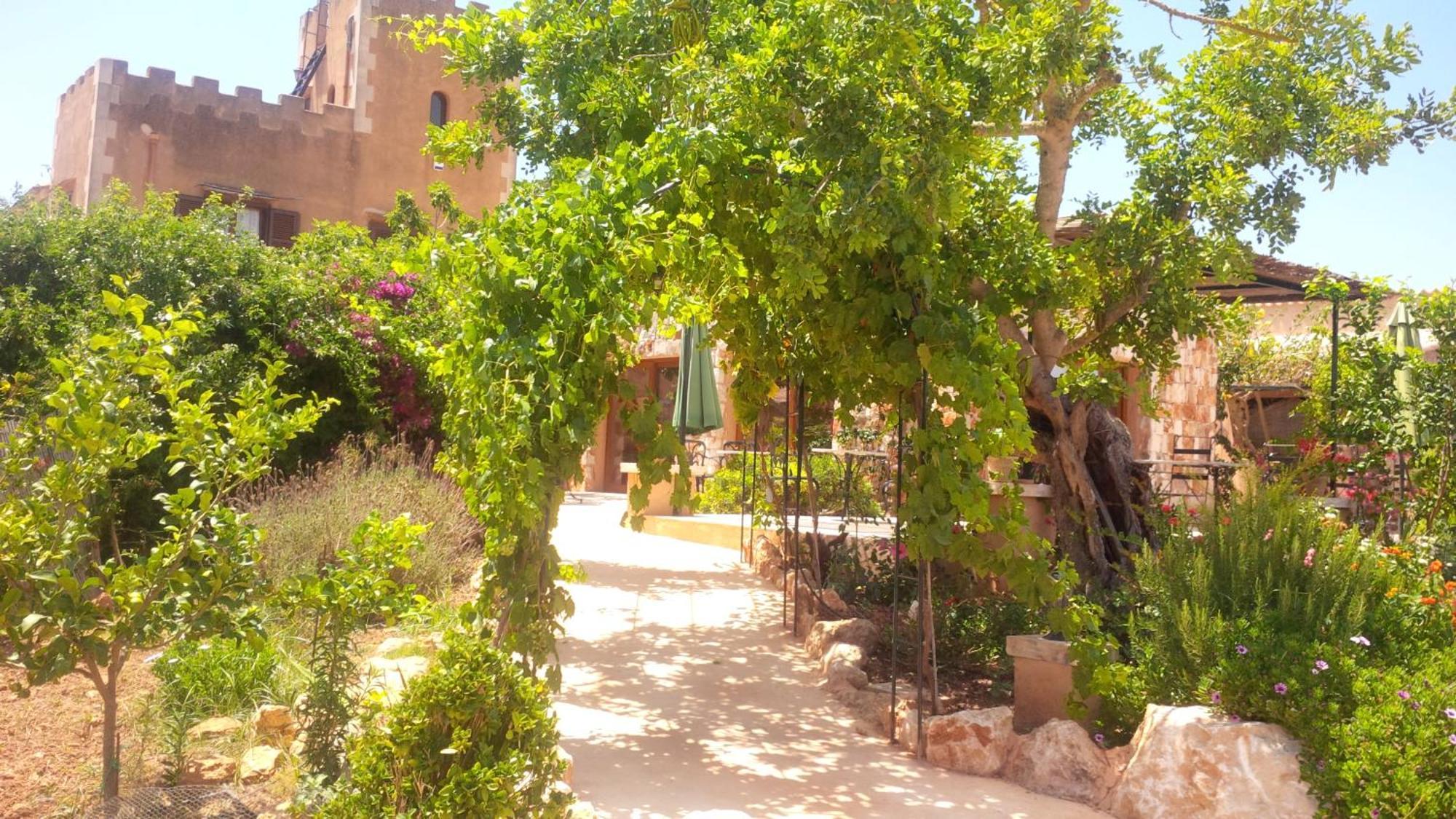 Farm stay Son Marimon (adults Only)