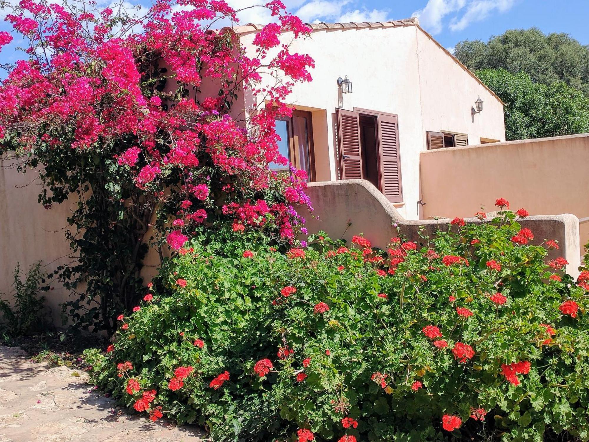 Son Marimon (adults Only) * Santanyi