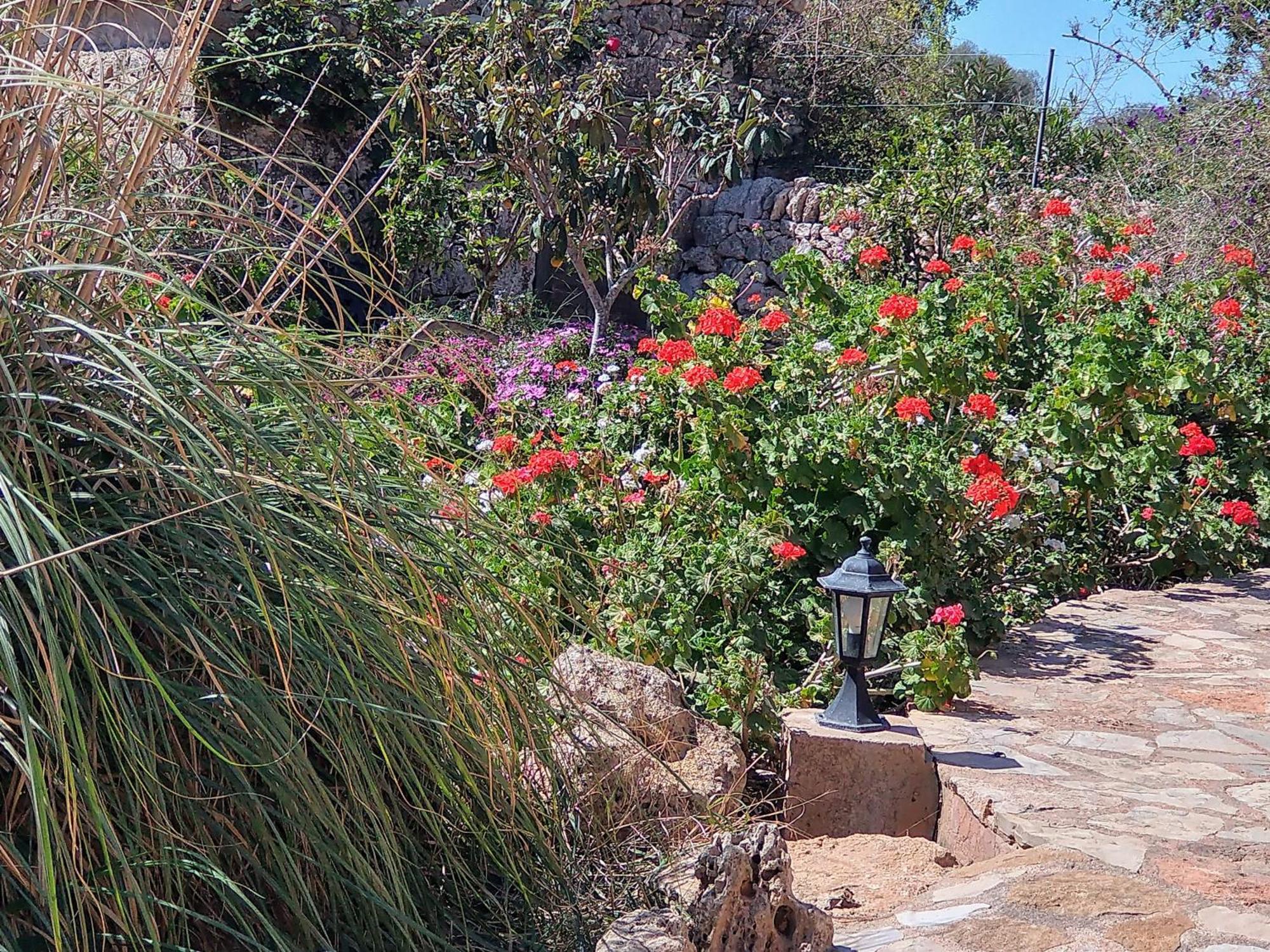 Son Marimon (adults Only) Farm stay